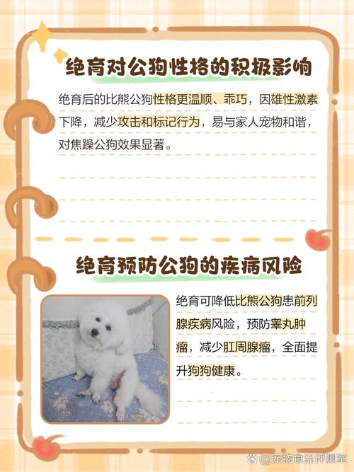 公比熊做绝育好还是不绝育好