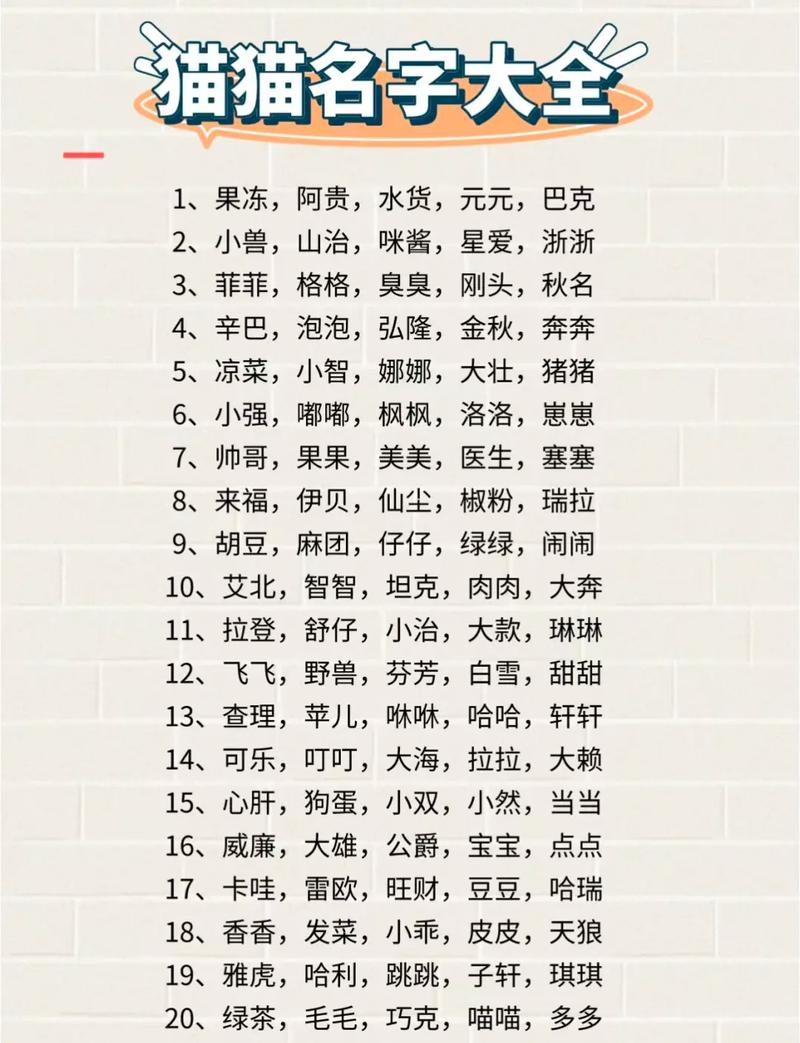 猫咪招财又好养活的名字大全,好听的猫咪名字100个?