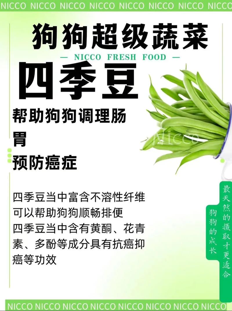 狗可以吃四季豆