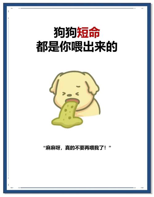 狗狗可以吃四季豆吗