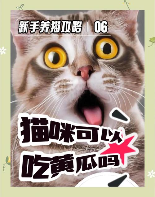 三个月的猫可以吃黄瓜吗?