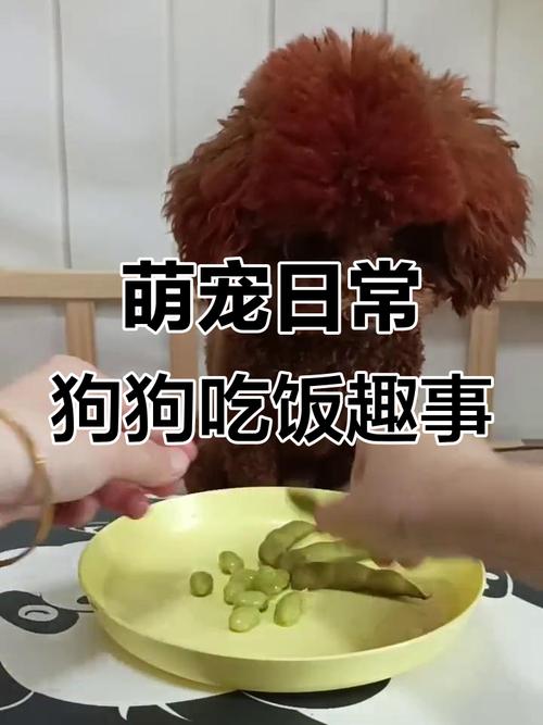 狗可以吃毛豆吗