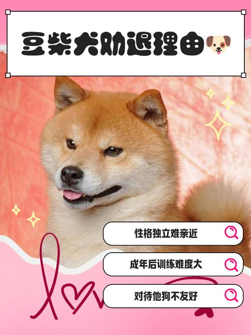 为什么狗狗不能吃毛豆