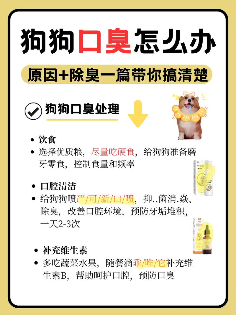 狗狗很臭怎么办