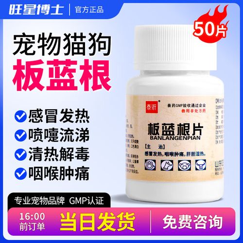 猫咪感冒可以喝板蓝根吗