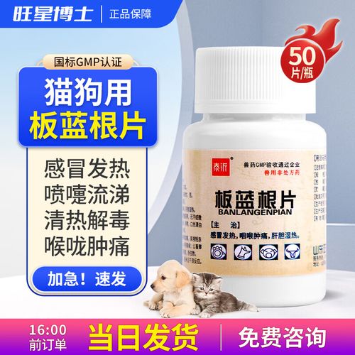 猫上火了吃什么药降火