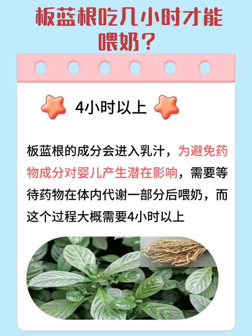 猫咪感冒可以喝板蓝根