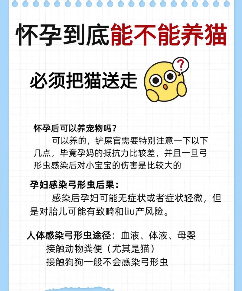 孕期为什么不要养猫咪