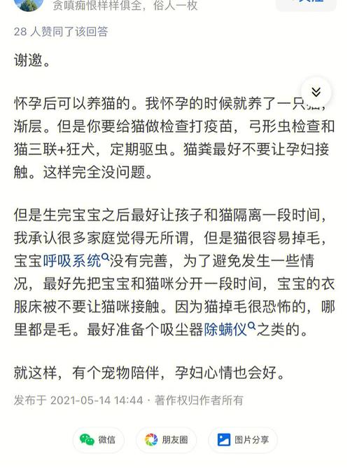 孕期为什么不要养猫咪啊