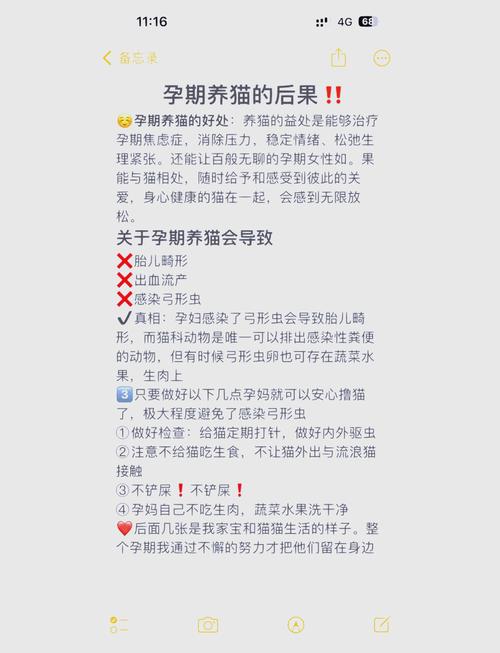 怀孕期间可以养猫吗?需要注意哪些呢?