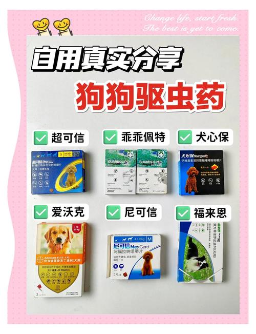 给狗狗驱虫用什么药好