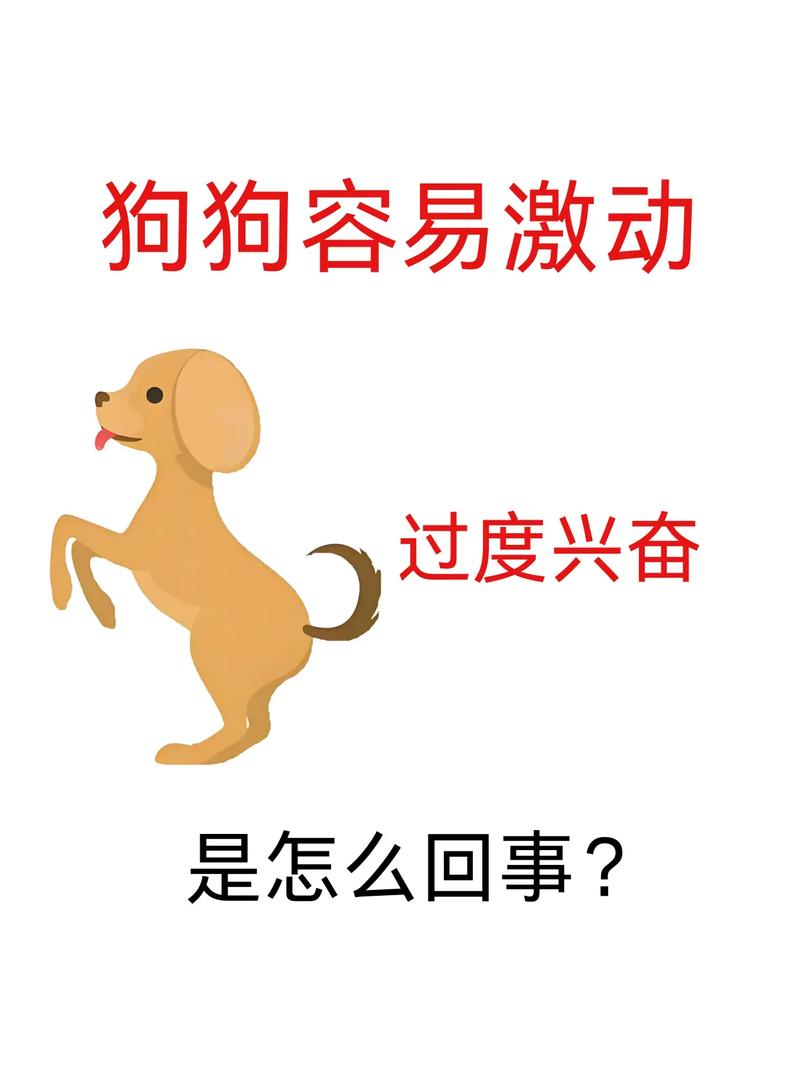狗狗为什么那么兴奋好动