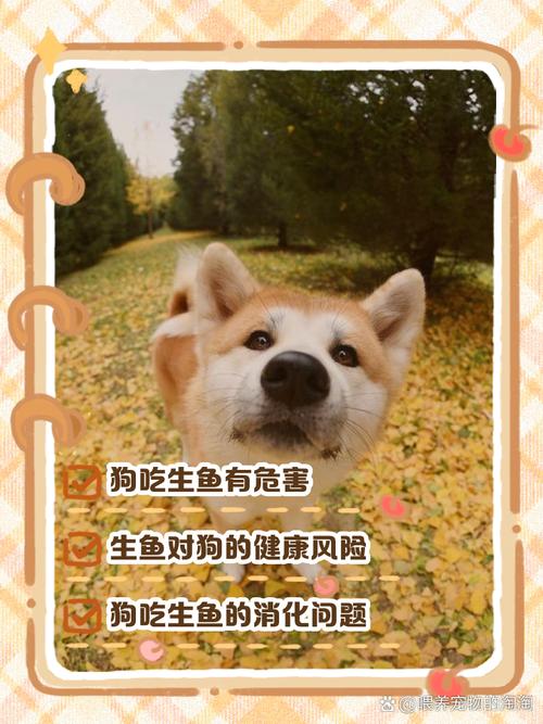 狗狗吃生鱼好不好