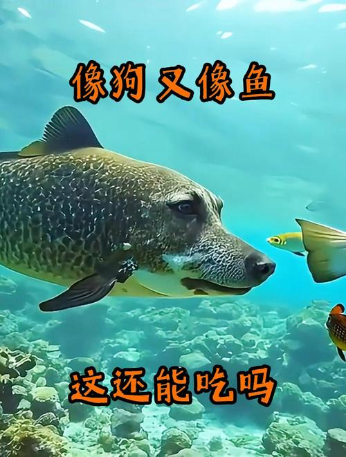 狗狗把鱼偷吃了会怎么样?