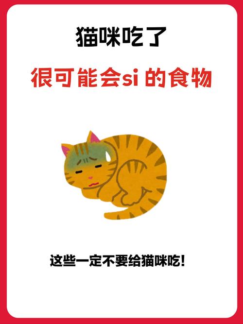 猫咪不能吃什么海鲜