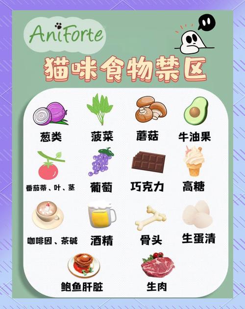 猫咪不能吃什么