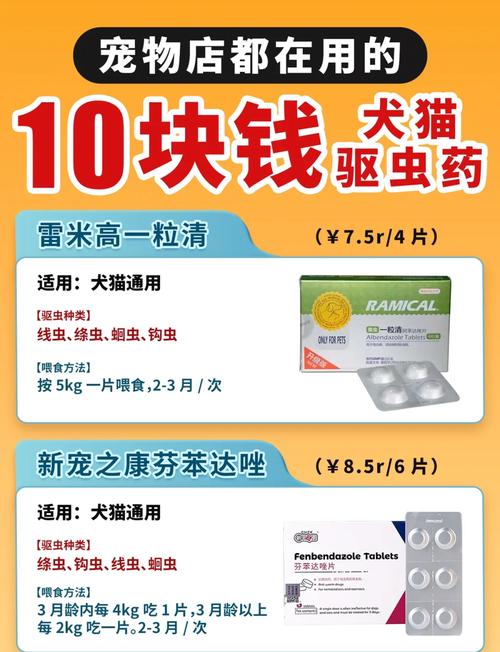 给猫咪驱虫,要多少钱?