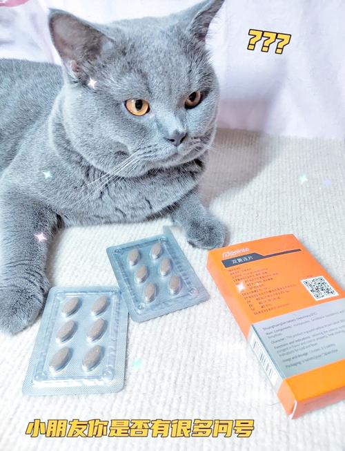 猫咪感冒吃什么药管用