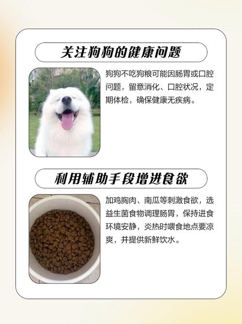 狗狗吃狗粮会不会上火