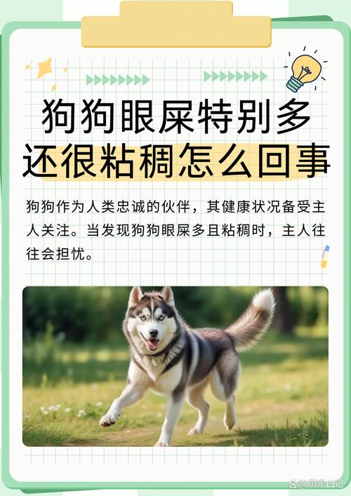 狗狗吃狗粮会上火吗