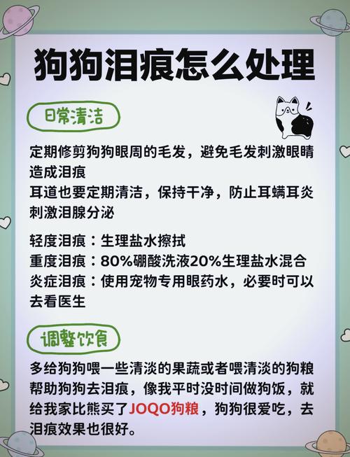 狗狗吃狗粮上火了。眼屎多怎么办