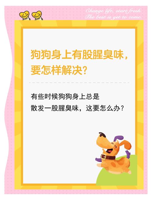 狗狗身上有体臭怎么办