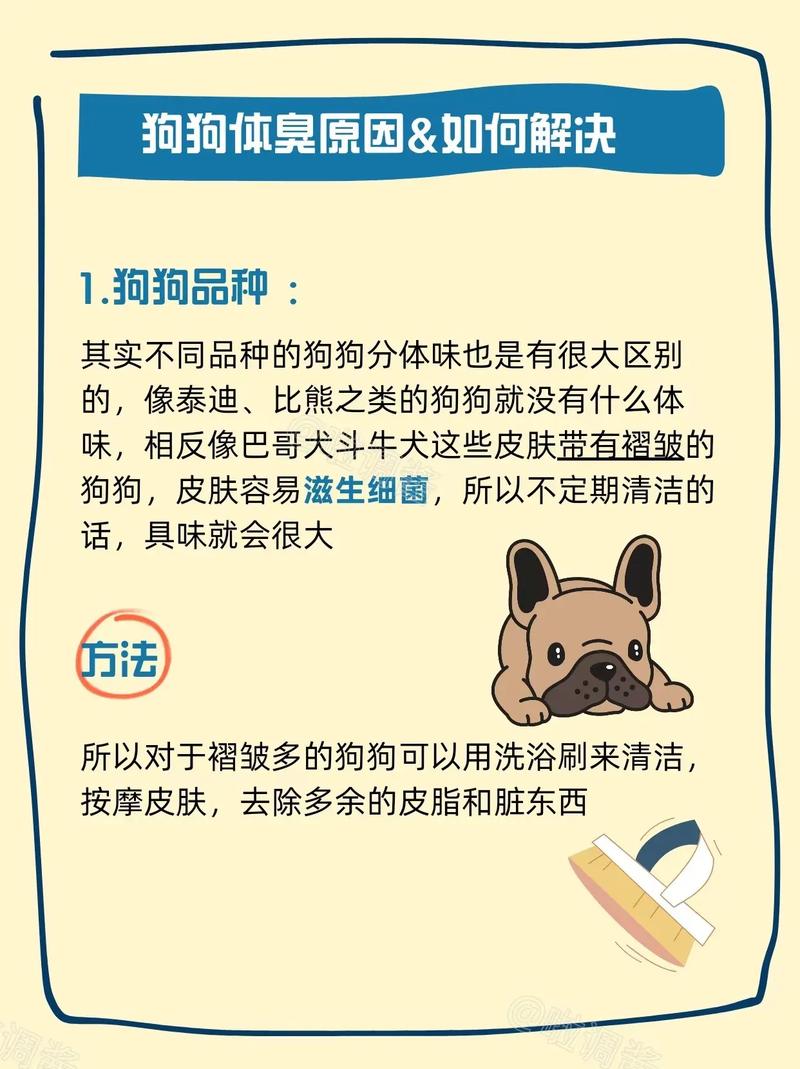 小狗身上太臭不能洗澡怎么办?