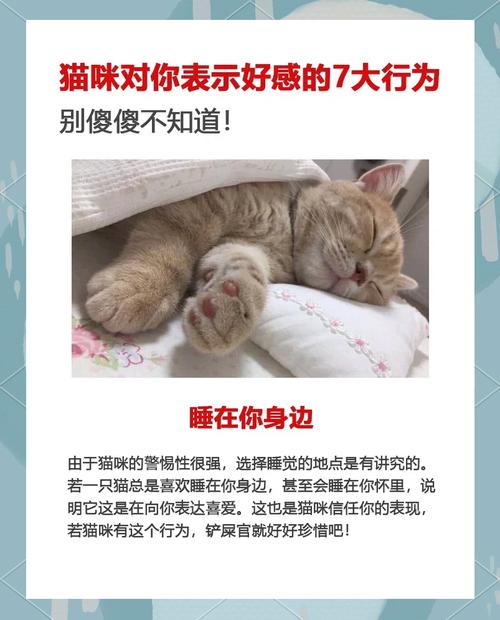 猫都有什么行为表现表示对主人的亲密和。不喜欢