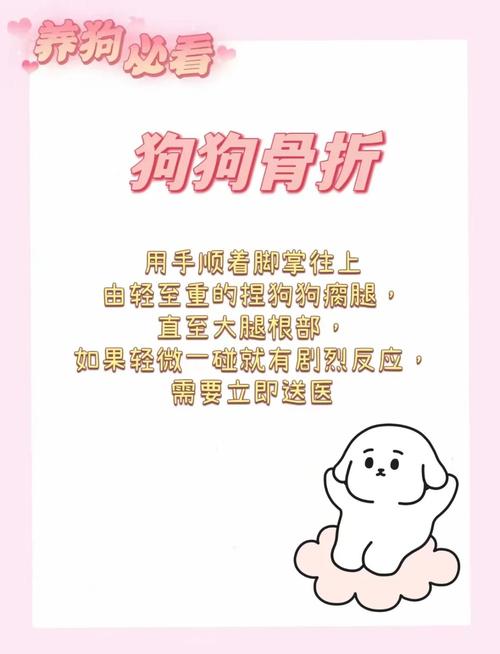 狗狗骨折和扭伤的区别