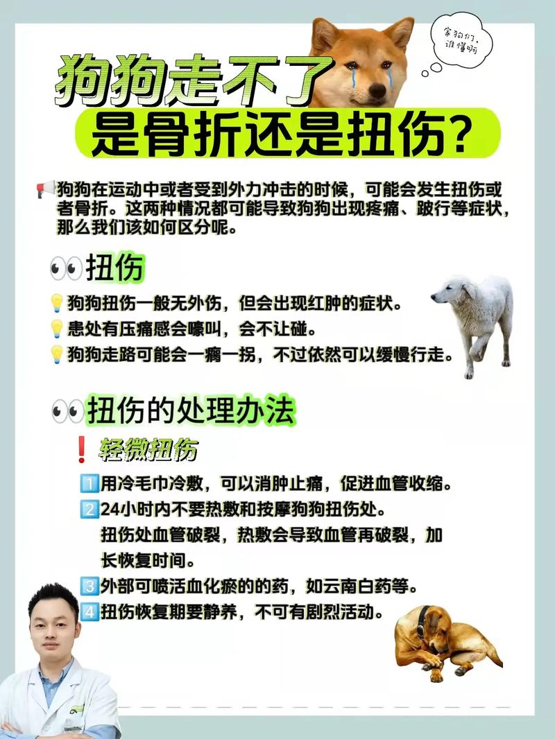 狗扭伤和骨折的区别