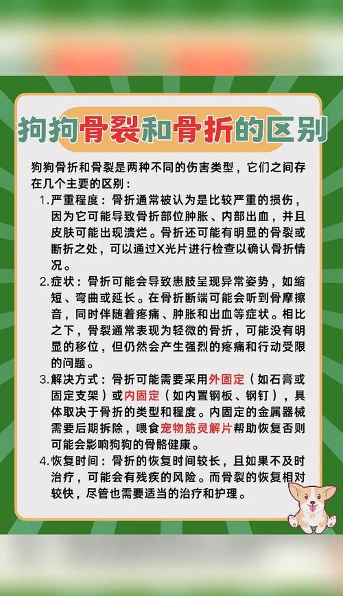 狗狗扭伤和骨折的差异有哪些?