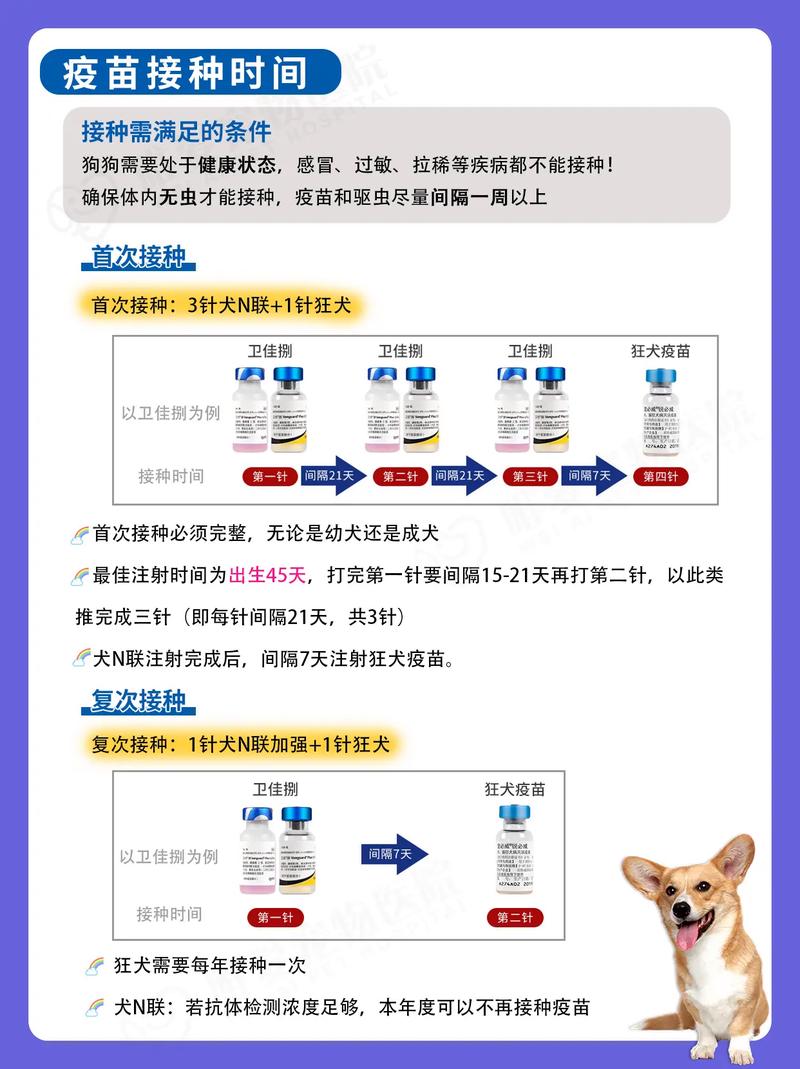 一个月的狗狗打了大脑炎疫苗多久才有效果