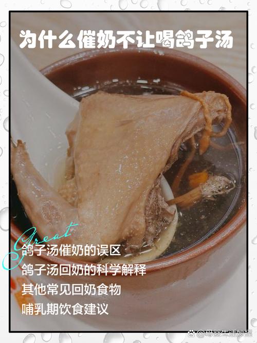 狗狗为什么不吃鸟肉