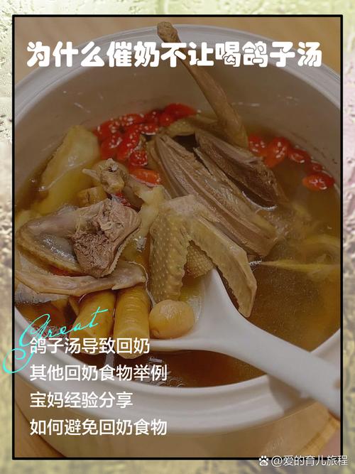 狗狗为什么不能吃鸽子