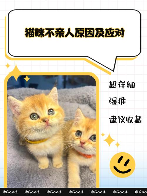 猫咪为什么不亲人了还叫个不停