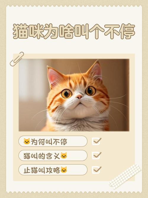 自家猫咪不亲人?可能是你这些行为把它推远了…