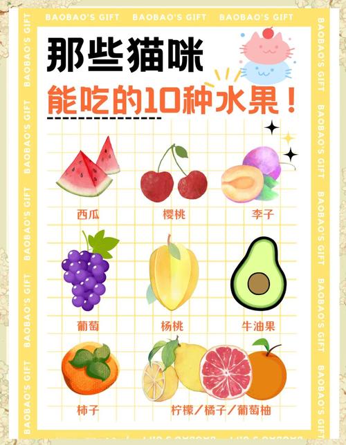 猫咪可以吃什么水果