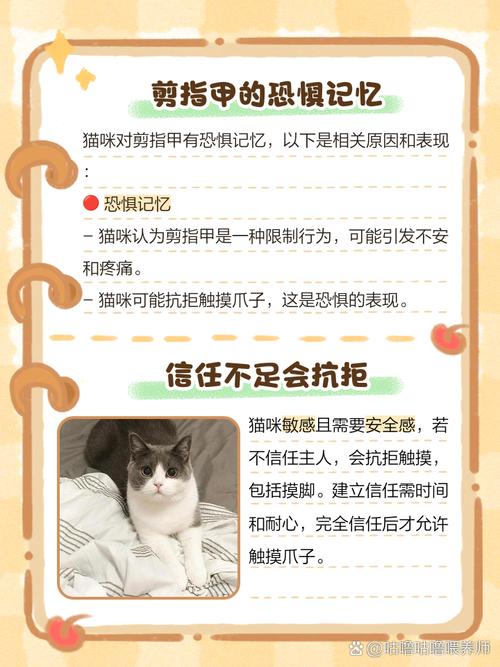 为什么猫不让碰爪子呢?