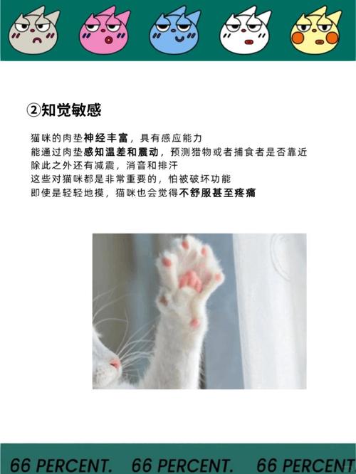 猫咪为什么不让摸爪子?