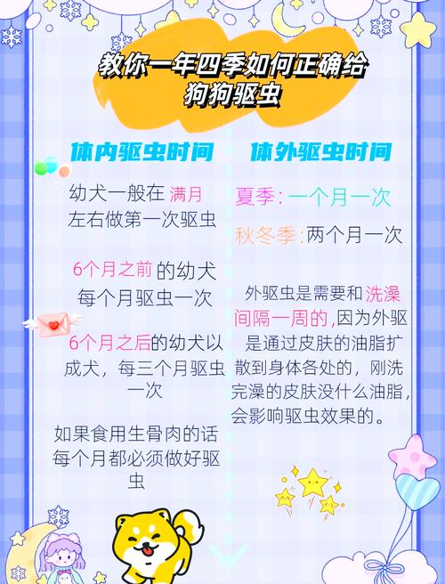 狗狗什么时候驱虫?