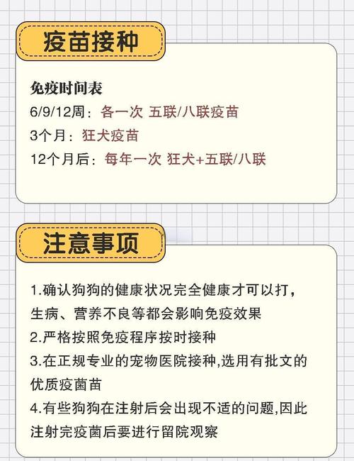 狗狗有必要打八联吗