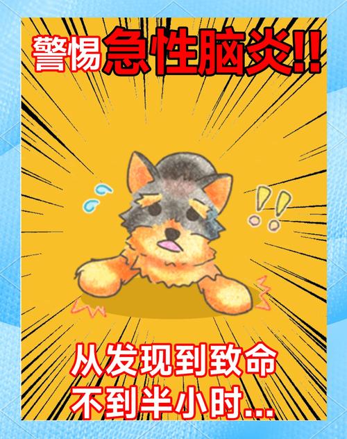 如何预防狗大脑炎
