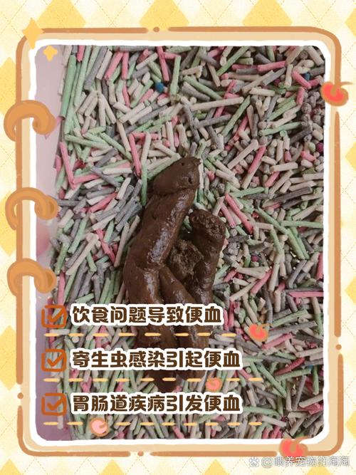 猫咪大便正常但是带血精神很好