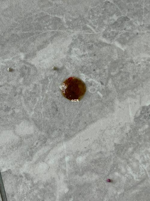 猫咪大便正常但是带血