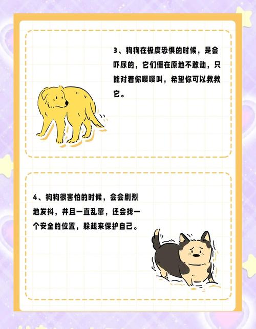 狗狗很胆小,经常低吼龇牙做出要咬人状,怎么让它变乖?