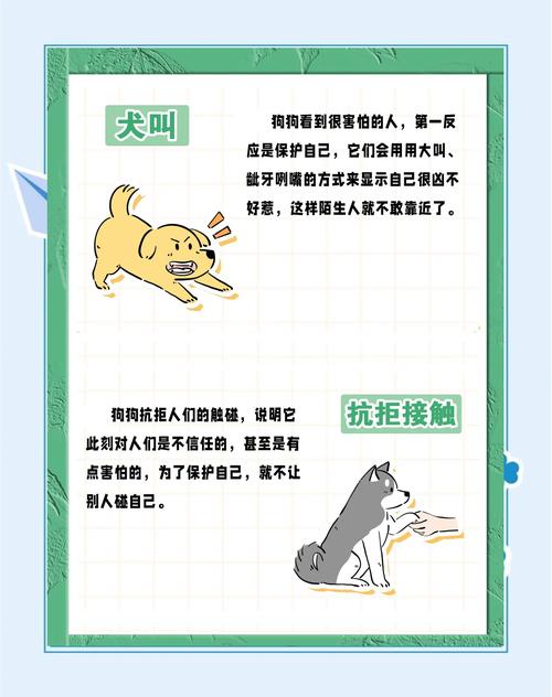 小狗睡觉醒来突然变得很胆小见什么都怕