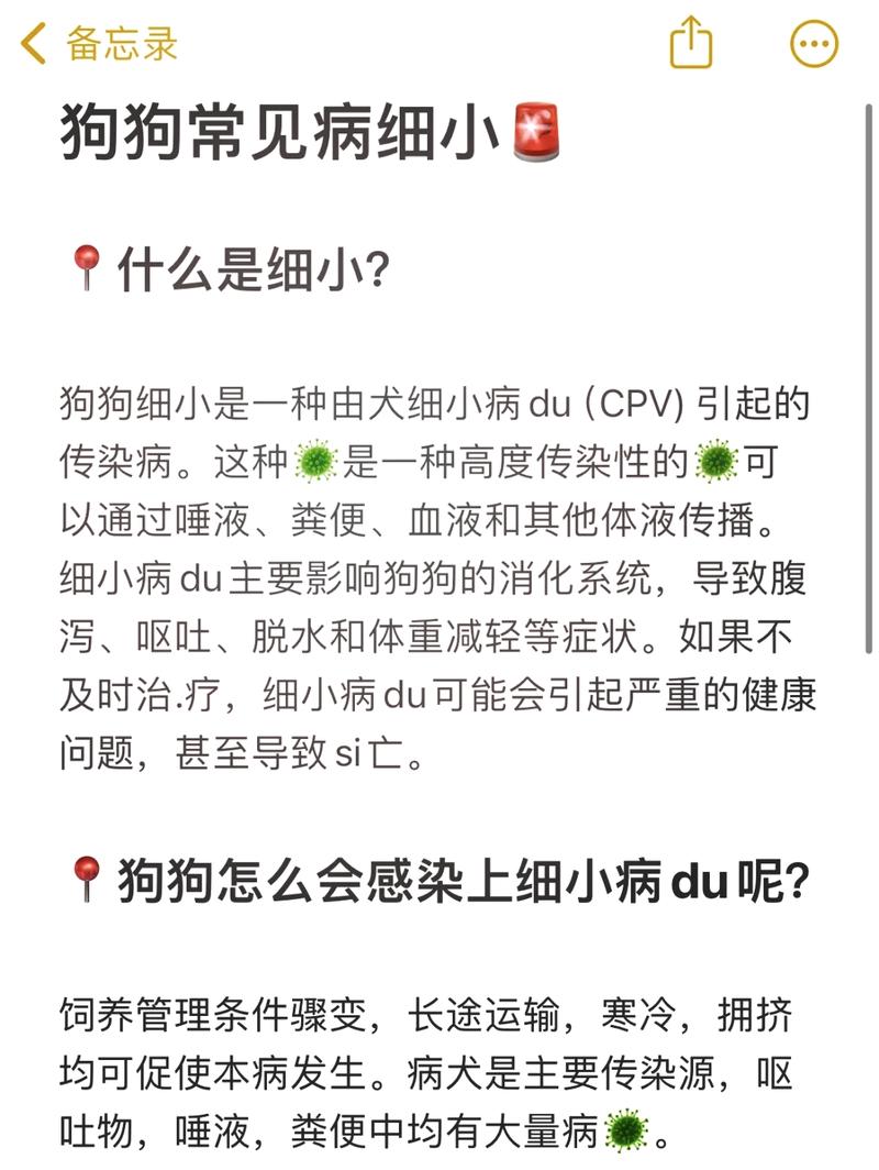 狗得细小症的表现