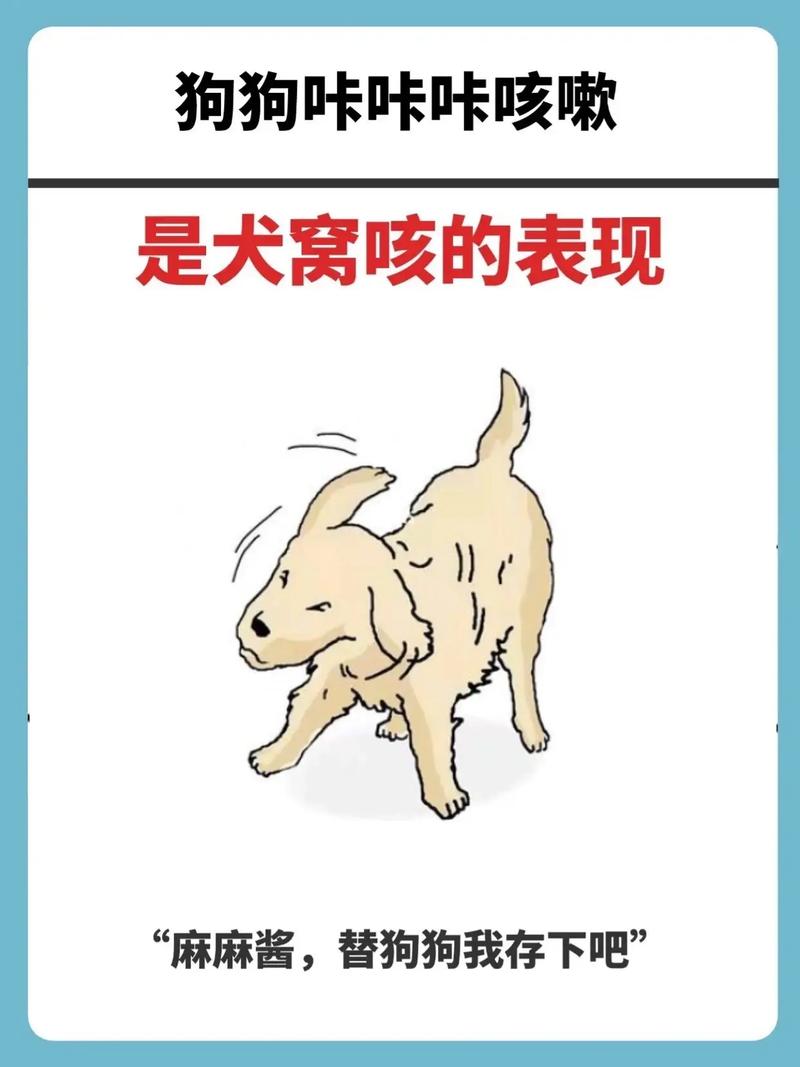 狗狗偶尔咳嗽咔一声是怎么回事