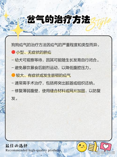 小狗太迪犬为什么的疝气怎么