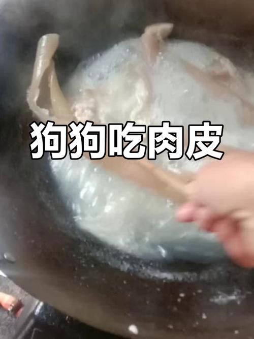 狗狗为什么长期吃肉皮